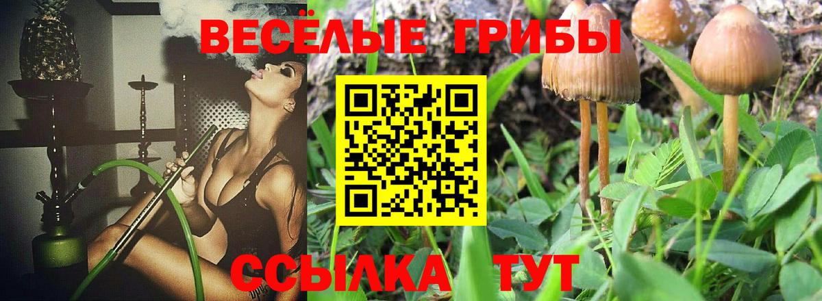 Галлюциногенные грибы Magic Shrooms Геленджик