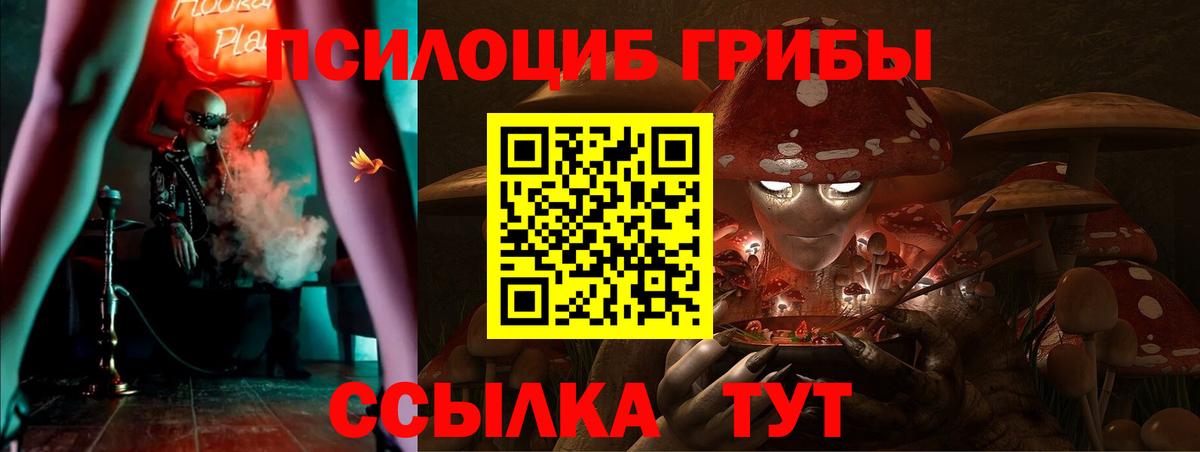 Геленджик  Галлюциногенные грибы Cubensis  Вход с VPN  Галлюциногенные грибы Cubensis 